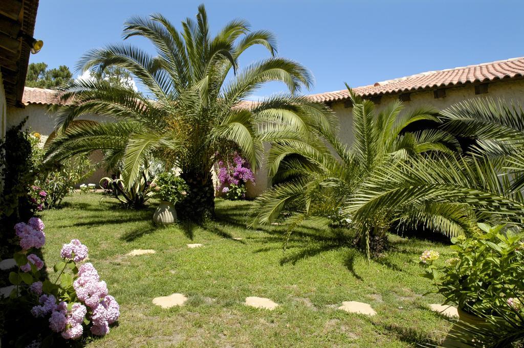 Hotel Pineto Biguglia  Room photo